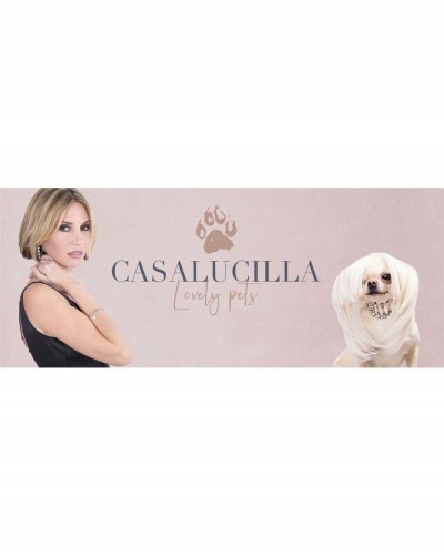 CASALUCILLALOVELYPET